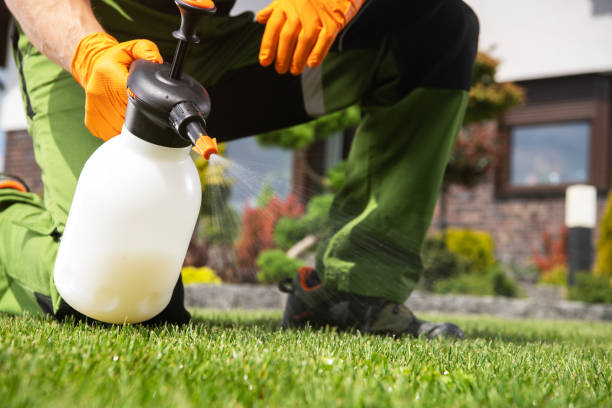 Best Wildlife Control Services  in Monongah, WV