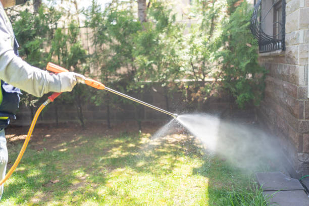 Best Pest Prevention Services  in Monongah, WV