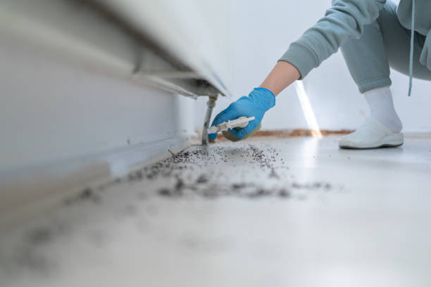 Wildlife Control Services in Monongah, WV